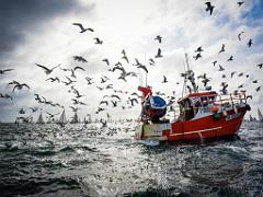 156 BELLE ILE EN MER LE PALAIS_000040